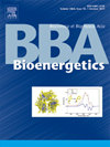 Biochimica Et Biophysica Acta-bioenergetics