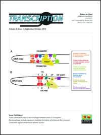 Transcription-austin