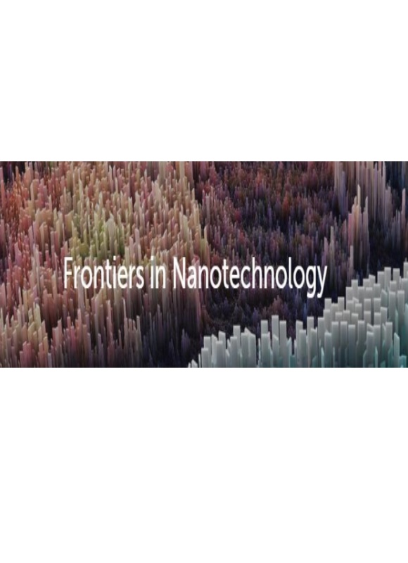 Frontiers In Nanotechnology