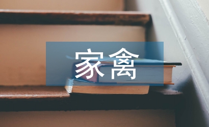 家禽產(chǎn)業(yè)發(fā)展現(xiàn)狀及對策