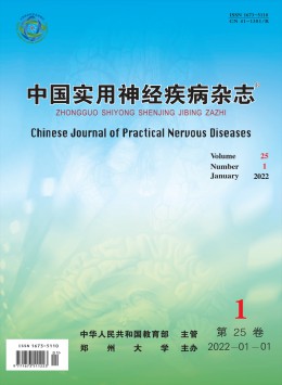 中國實(shí)用神經(jīng)疾病雜志